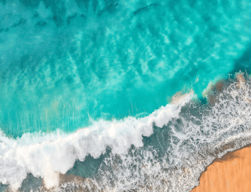 THE OCEAN’S CARBON CAPTURE: INNOVATION OR RISK?